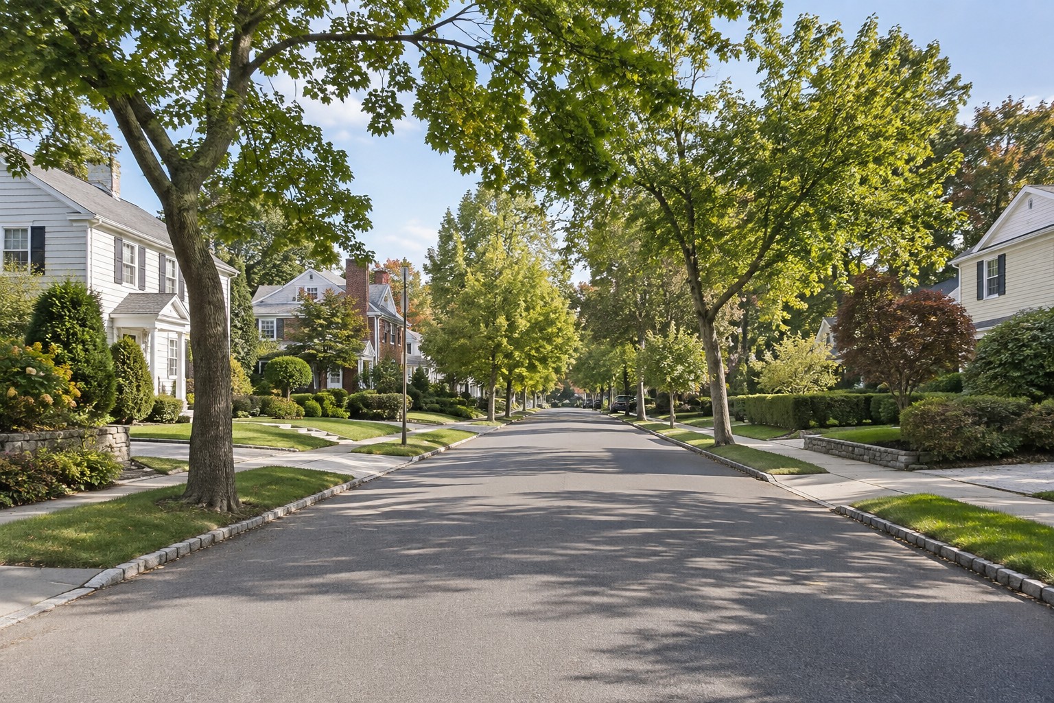 White Plains